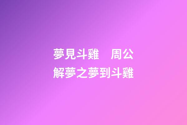 夢見斗雞　周公解夢之夢到斗雞